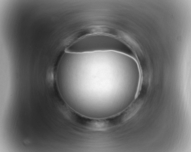 X0000099940405200805231256