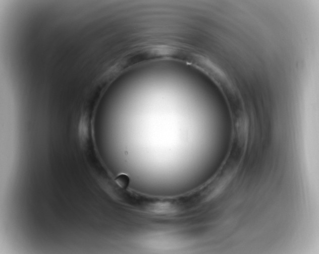 X0000099940406200805231256