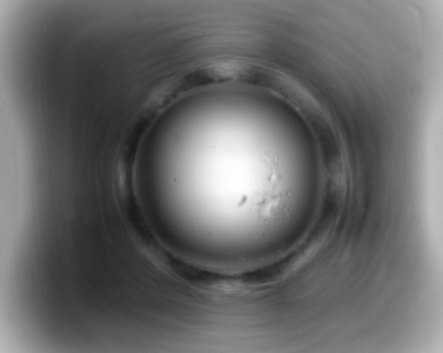 X0000099940408200805231256