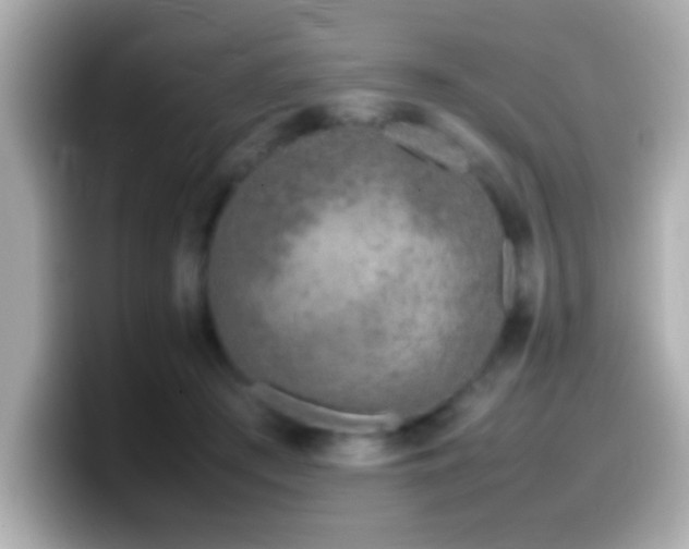 X0000099940409200805231256