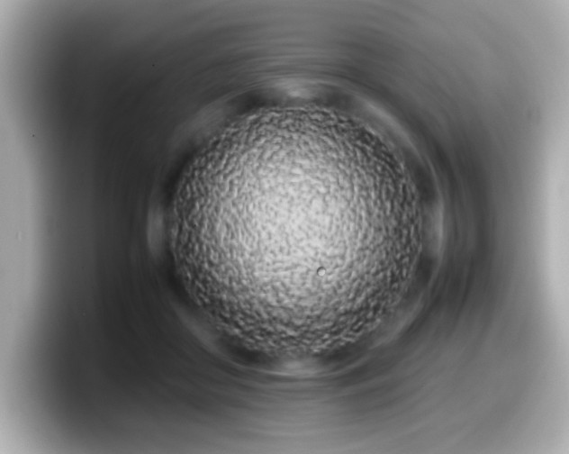 X0000099940410200805231256