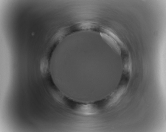 X0000099940411200805231256