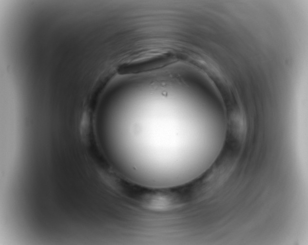 X0000099940412200805231256