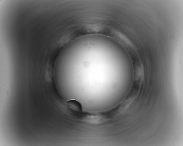 X0000099940414200805231256
