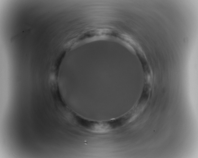 X0000099940415200805231256