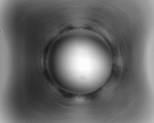 X0000099940416200805231256