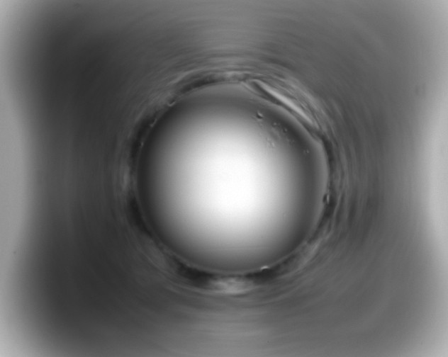 X0000099940417200805231256