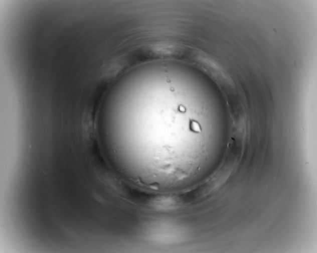 X0000099940418200805231256