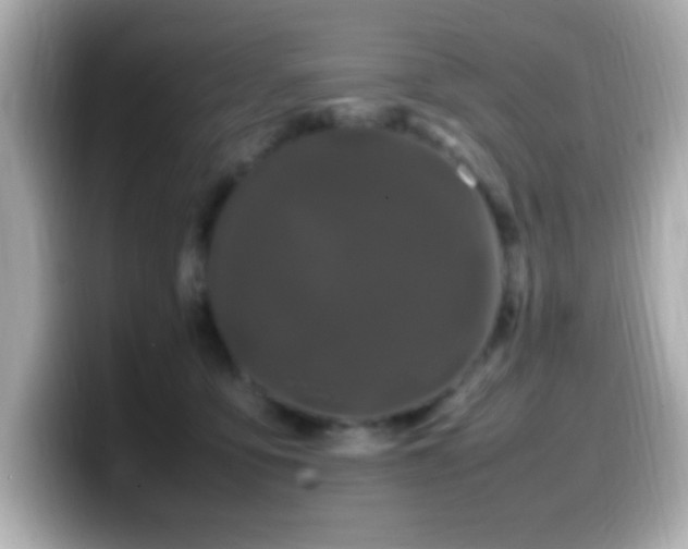 X0000099940419200805231256