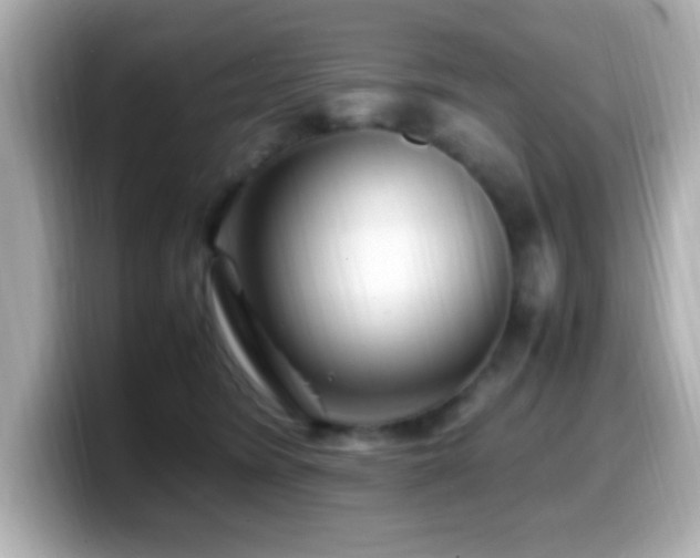 X0000099940420200805231256
