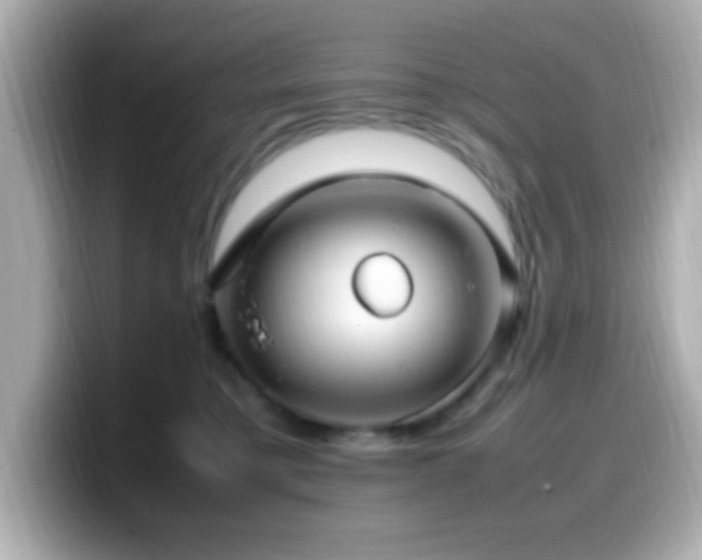 X0000099940421200805231256