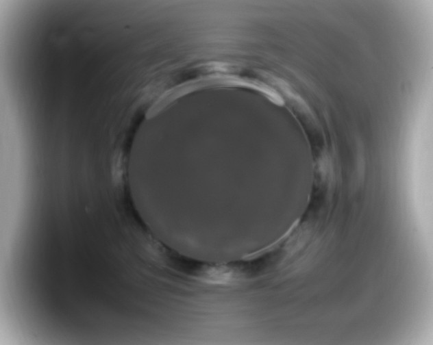 X0000099940423200805231256