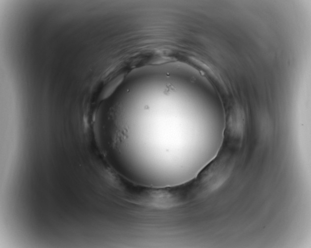 X0000099940424200805231256