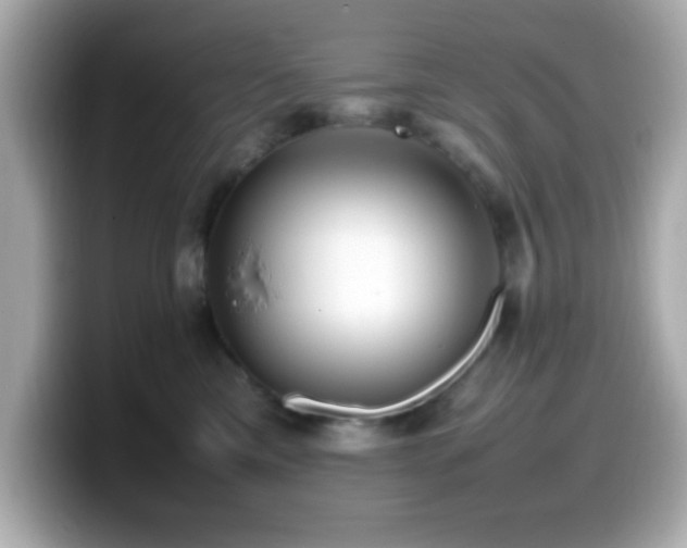 X0000099940425200805231256