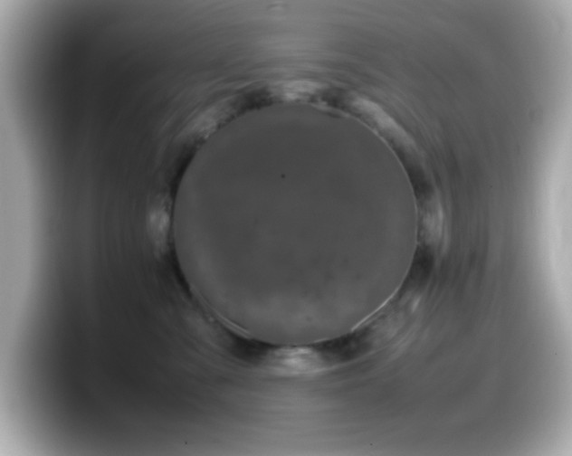 X0000099940427200805231255