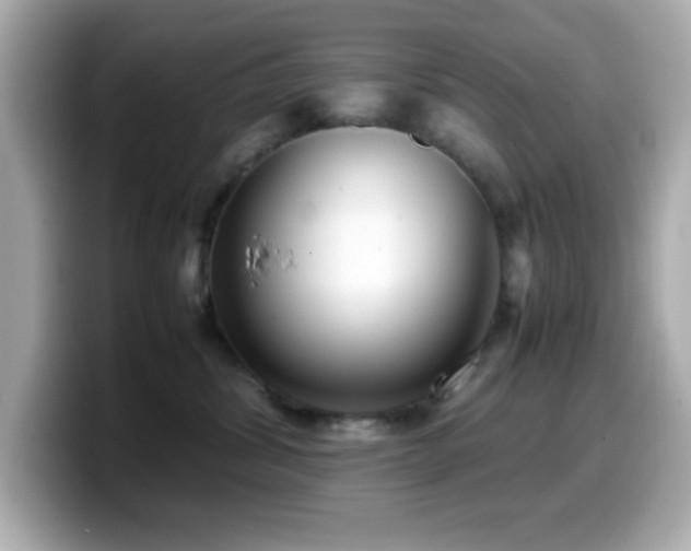 X0000099940428200805231255