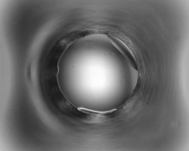 X0000099940429200805231255