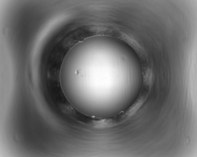 X0000099940430200805231255