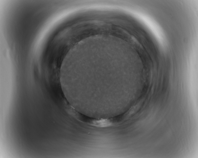 X0000099940431200805231255