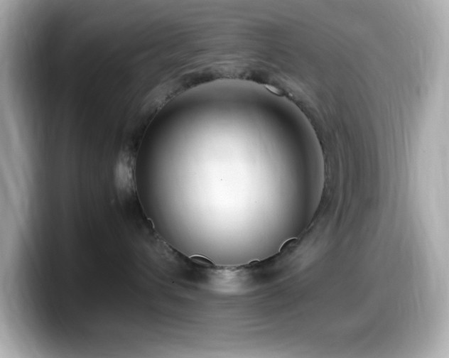 X0000099940432200805231255