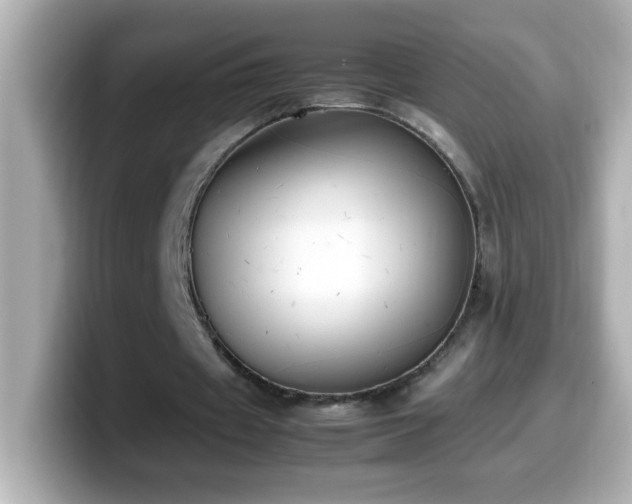 X0000099940433200805231255