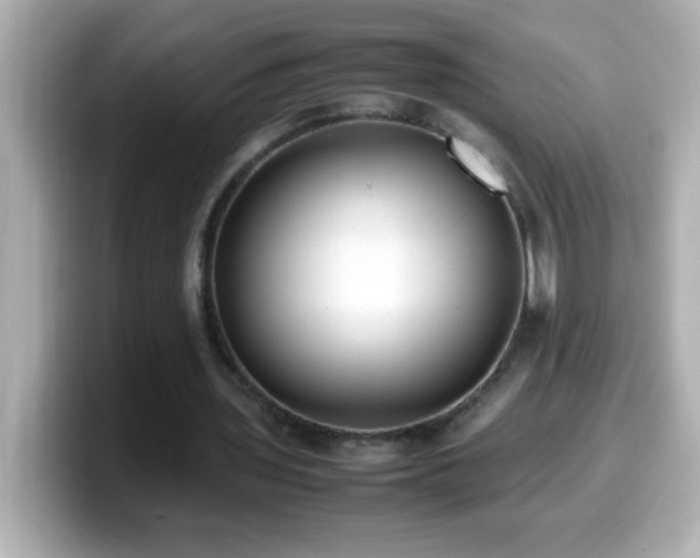 X0000099940435200805231255