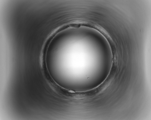 X0000099940436200805231255