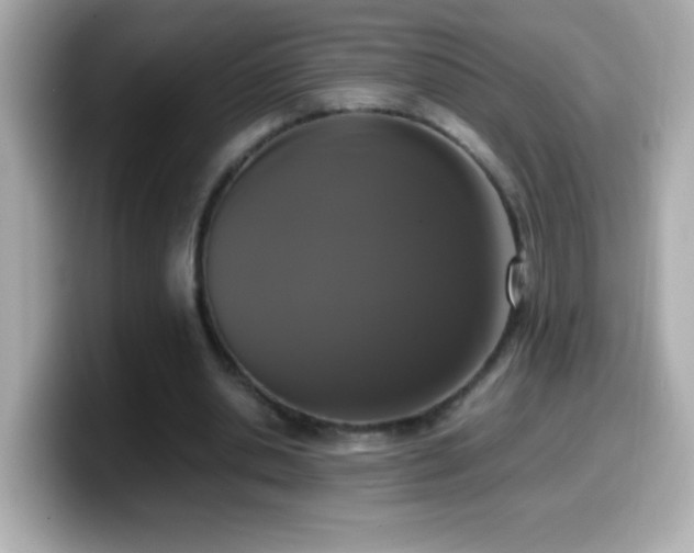 X0000099940438200805231255