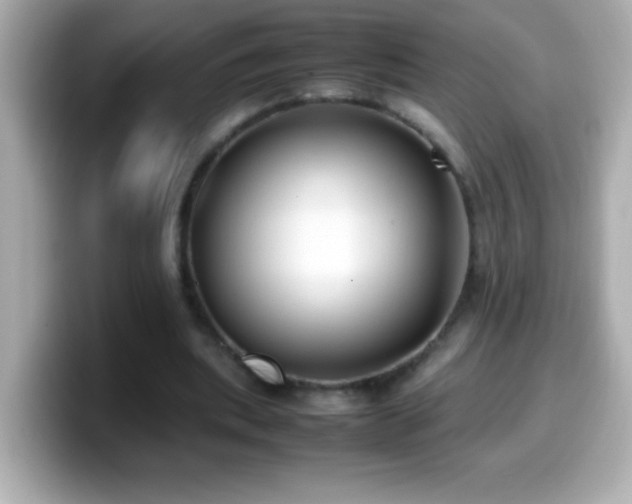 X0000099940439200805231255