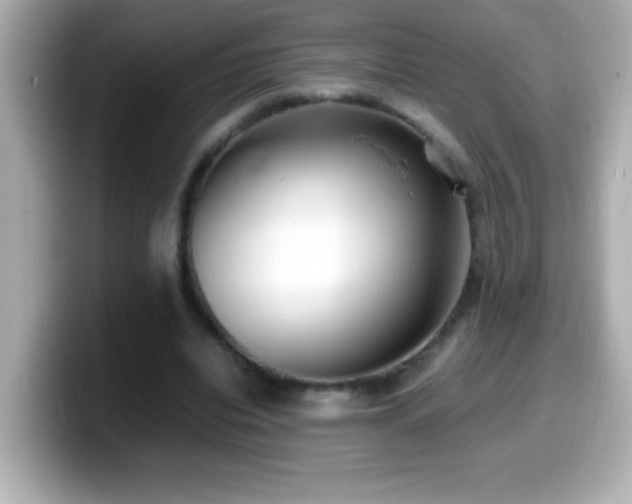 X0000099940440200805231255