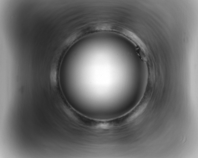 X0000099940441200805231255