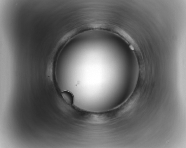 X0000099940442200805231255