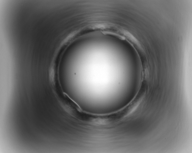 X0000099940444200805231255