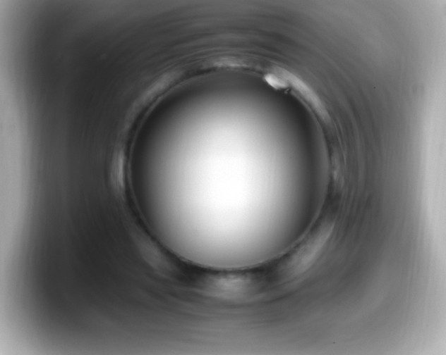 X0000099940445200805231255