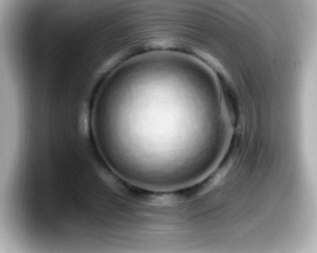 X0000099940446200805231255