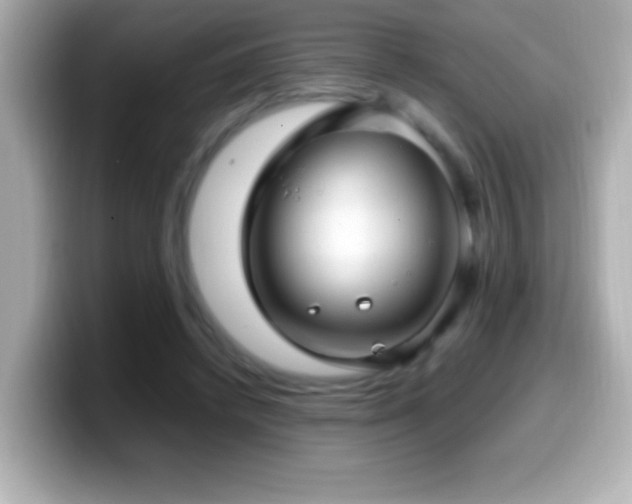 X0000099940448200805231255