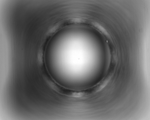 X0000099940450200805231255