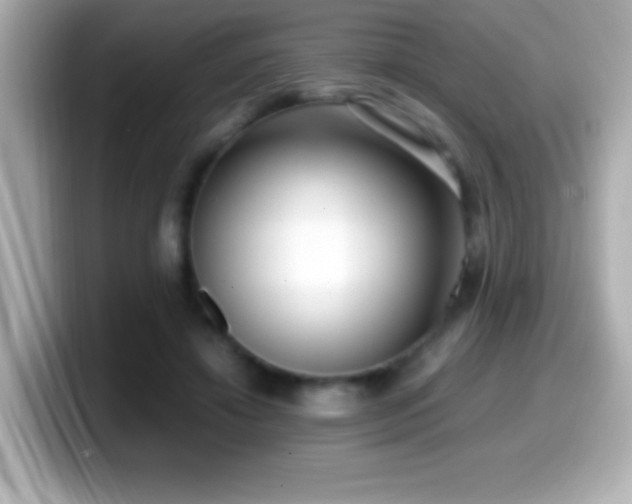 X0000099940452200805231255