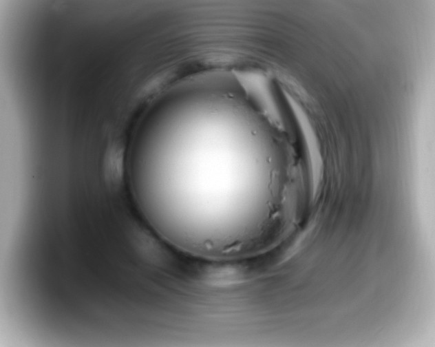X0000099940454200805231255