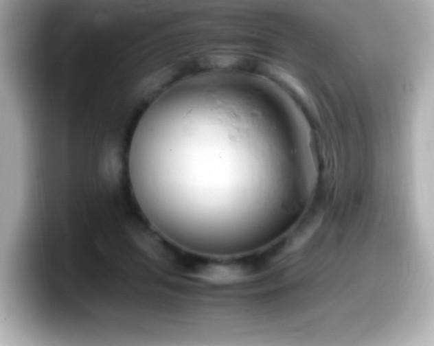X0000099940455200805231255