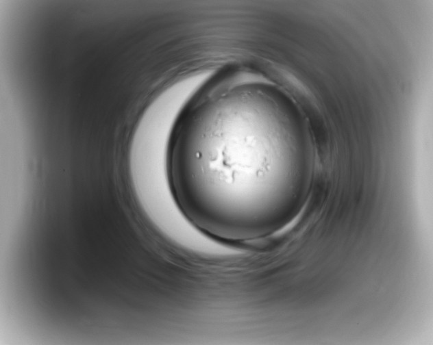 X0000099940456200805231255