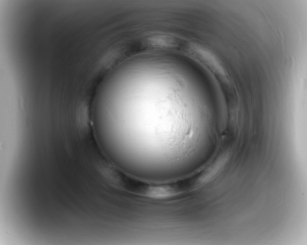X0000099940457200805231255