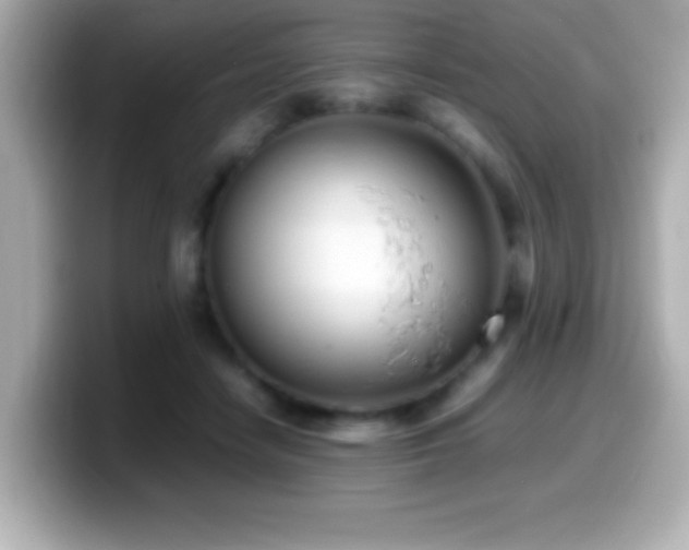 X0000099940458200805231255