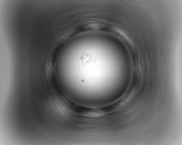 X0000099940459200805231255