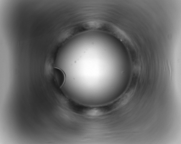 X0000099940460200805231255