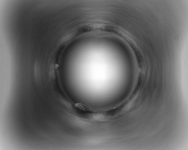 X0000099940462200805231255
