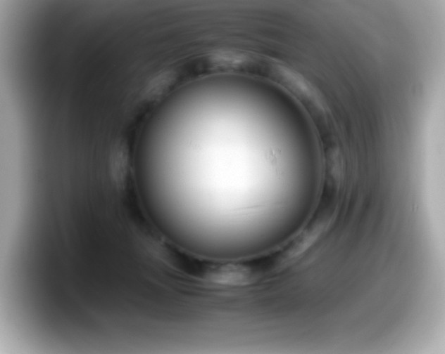 X0000099940463200805231255