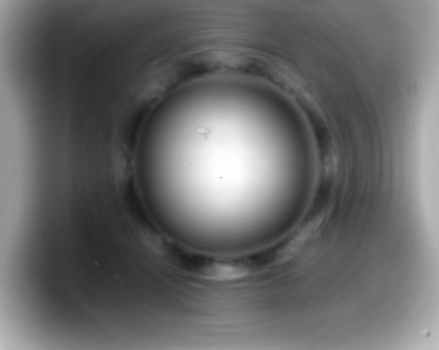 X0000099940464200805231255