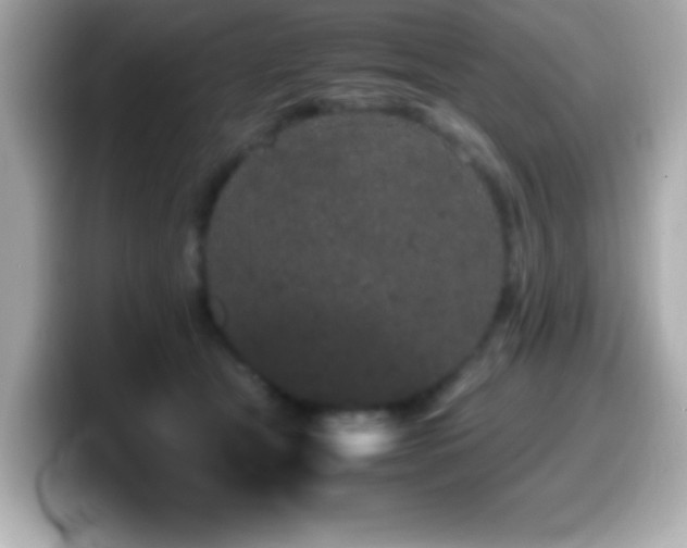 X0000099940465200805231255