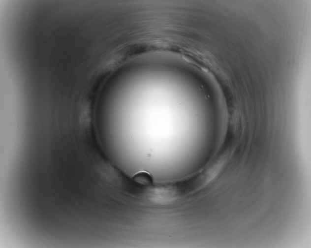 X0000099940466200805231255